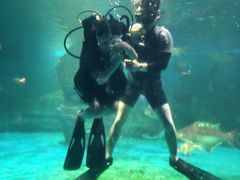 -烟台海昌鲸鲨海洋公园