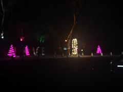 -枫花园汽车电影院(朝阳公园店)