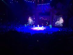 -珠海横琴长隆《卡卡虎奇遇记》