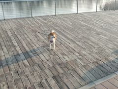 -永定河休闲森林公园