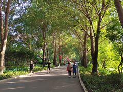 -长春公园(普阳街道)