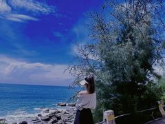 -广东惠东海龟国家级自然保护区