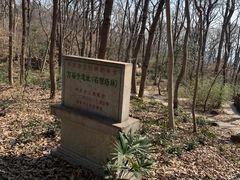 -紫金山山顶公园