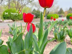 -永定河休闲森林公园