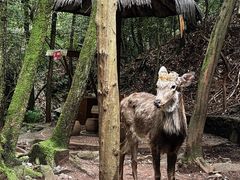 -昆明青龙峡风景区