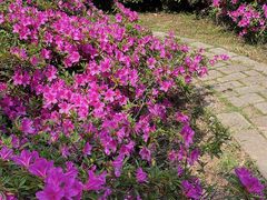 -苏州上方山国家森林公园