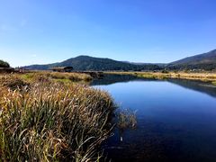 景点-腾冲北海湿地