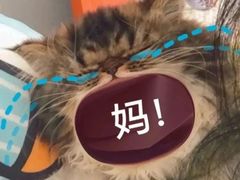 -北京厨房(SKP店)