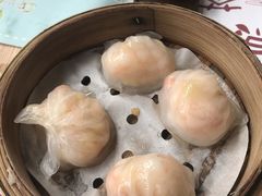 -一笼小幸运