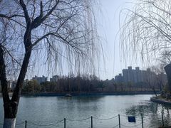 -大宁公园
