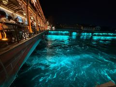 -老号尤兔头(幸福店)