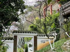 -南山植物园
