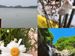 -金沙湖旅游度假区