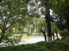 -中国农业博物馆