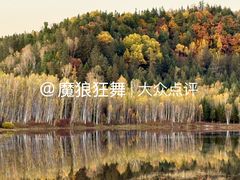 -汤旺河林海奇石景区