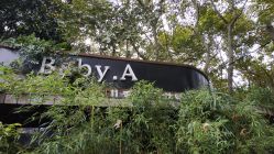 点击看大图 -BabyA 专业婴童摄影(古北时尚广场店)