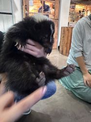 -Zoolung Zoolung动物主题公园(海信广场店)