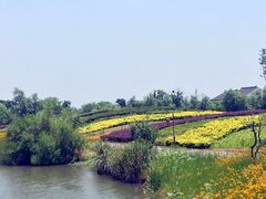 -梁鸿国家湿地公园