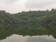 -李小龙乐园(顺德均安店)