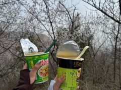 -北京凤凰岭