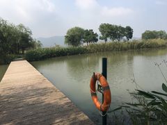 -长兴太湖图影湿地文化园