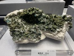 -湖南省地质博物馆