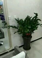 -Art Hair Salon