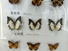 -蝴蝶泉公园