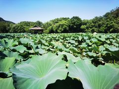 -兰亭风景区