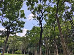 -东莞植物园
