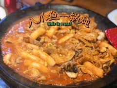 -红辣椒八爪鱼特色韩国料理