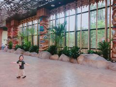 -杭州开元森泊度假乐园