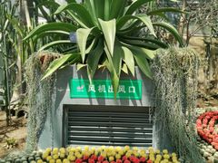 -南山植物园