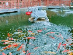 -东莞观音山旅游风景区