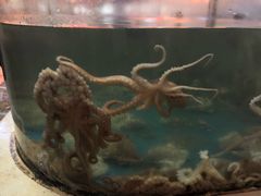 -蓝海渔湾生态园(赣榆店)