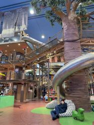 -卡通尼·Safari非洲探索乐园·生日会(金桥国际商业广场店)