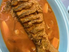 -阿五黄河大鲤鱼(纬三路店)