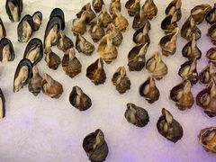 -罗马假日海鲜自助餐厅(星湖广场店)