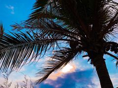 -瑰丽酒店·海吧·天际下午茶·现场DJ·天台酒吧