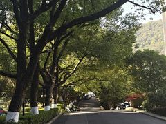 -浙江大学(玉泉校区)