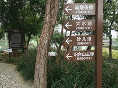 -阳台山自然风景区