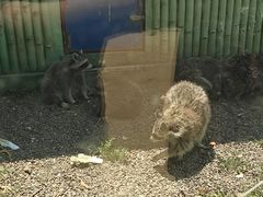 -秦皇岛野生动物园