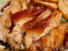 -陆长玖古法猪脚饭(玄风桥店)