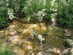 -玉渡山自然风景区