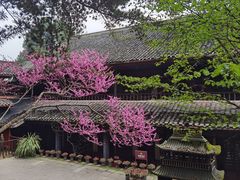-青城山