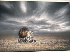 -罗红摄影艺术馆