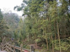 -凤栖山