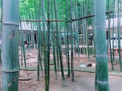 -黄公望隐居地