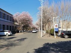 -吉林大学(南岭校区)