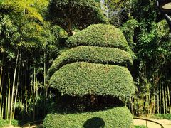 -苏州河梦清园环保主题公园